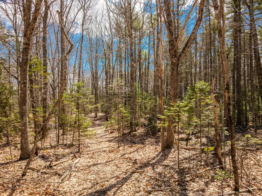 16-43-2 Old Four Rod Road, Rockport, ME 04856 - Image #3