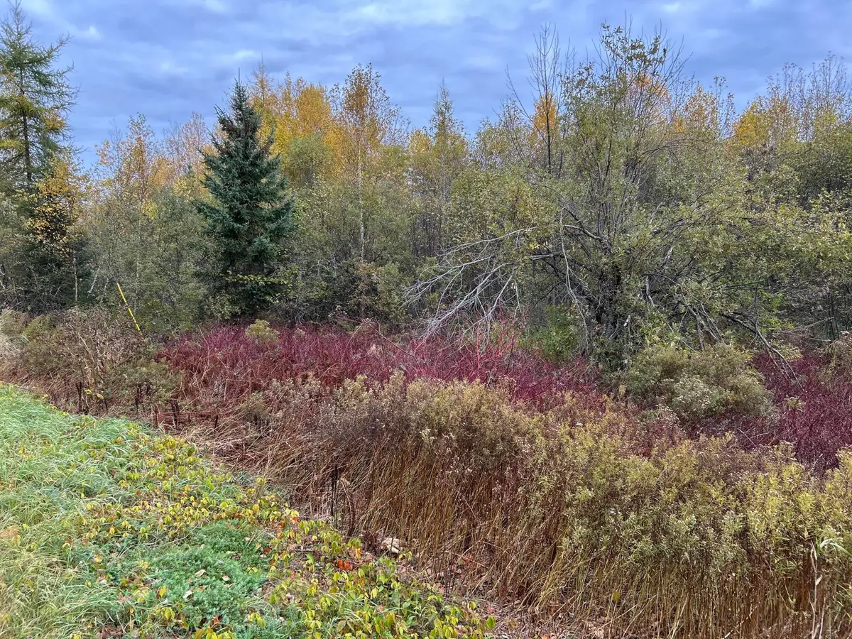 Map5Lot1 Silvers Mills Road, Sangerville, ME 04479 - Image #1