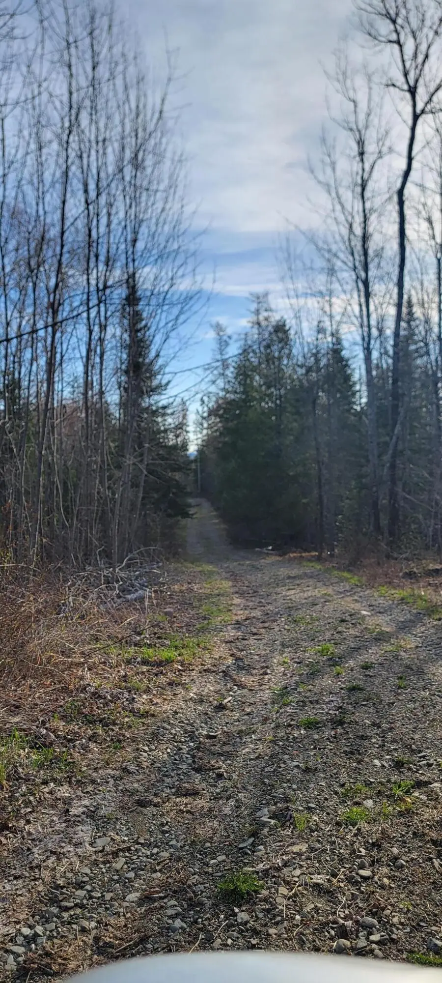 69 Hodgins Lane, Calais, ME 04619 - Image #3