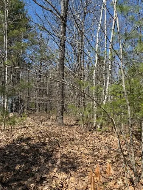 M10, L71 Logan Ridge Road, Chelsea, ME 04330 - Image #3