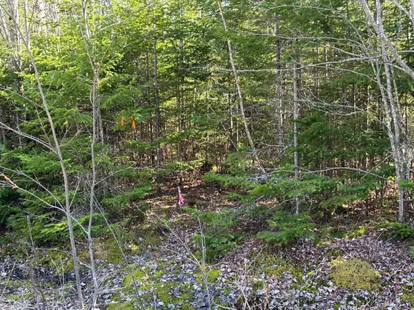 Lot 14 Merganser Drive, Gouldsboro, ME 04607