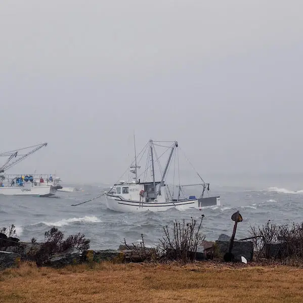 8 Powderhouse Cove Road, South Thomaston, ME 04858 - #3