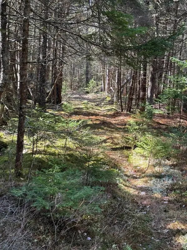 Lot 48A Route 1, Gouldsboro, ME 04607