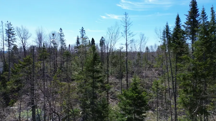 Lot 31C B Road Road, Houlton, ME 04730 - Image #3