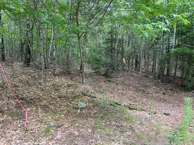 WA2 Partridge Knoll, East Central Washington, ME 04628 - Image #3