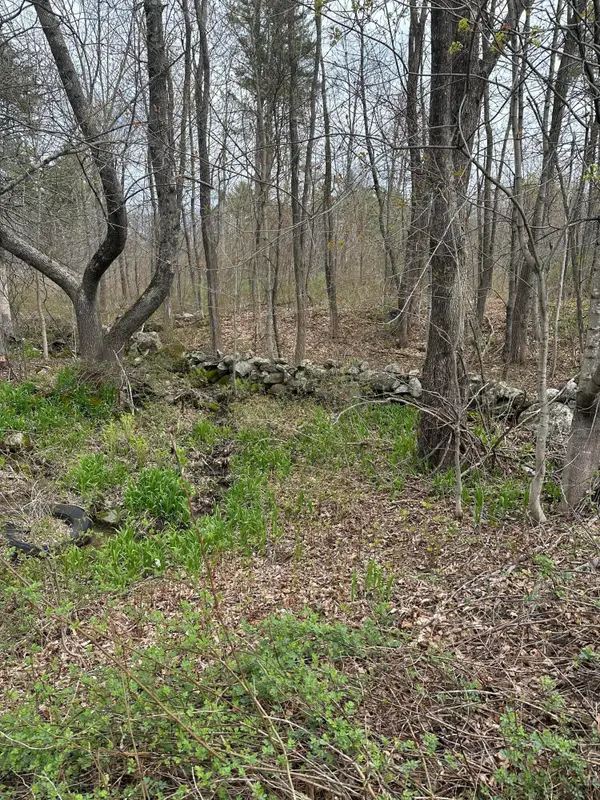 Lot #2 - 344 Moose Hill Road, Livermore Falls, ME 04254