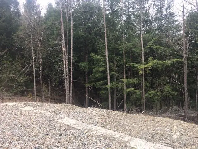 Lots 2&3 Maple Ridge Road, Dedham, ME 04429 - #2