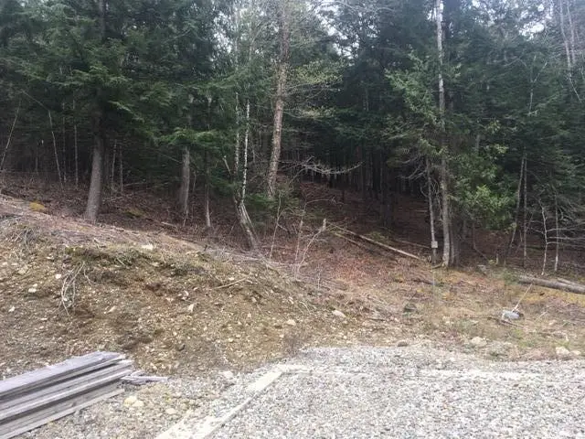 Lots 2&3 Maple Ridge Road, Dedham, ME 04429 - #3