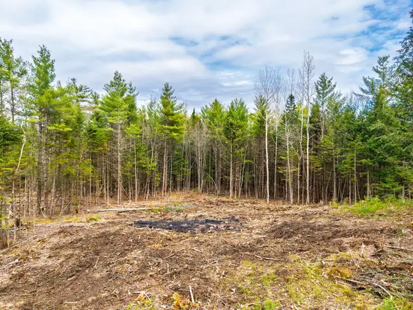 3 Forest Drive, Albany Twp, ME 04217