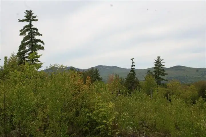 41 Federal Road, Fryeburg, ME 04037 - Image #2