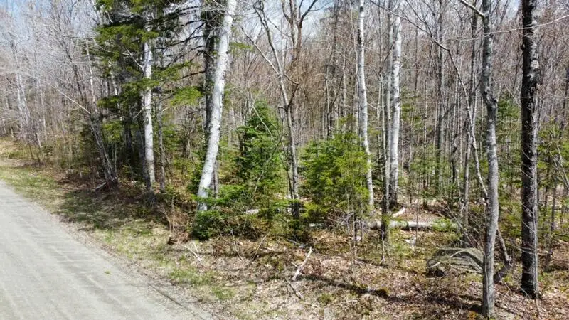 2029 Fox Hollow Road, Carrabassett Valley, ME 04947 - Image #2