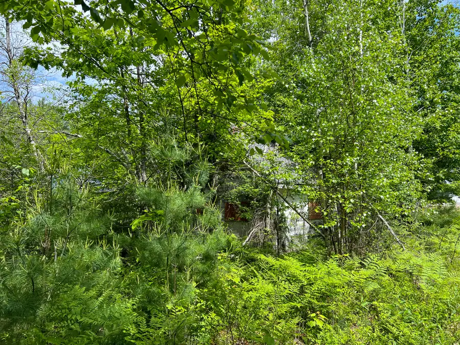 128 Common Road, Dixfield, ME 04224 - Image #3