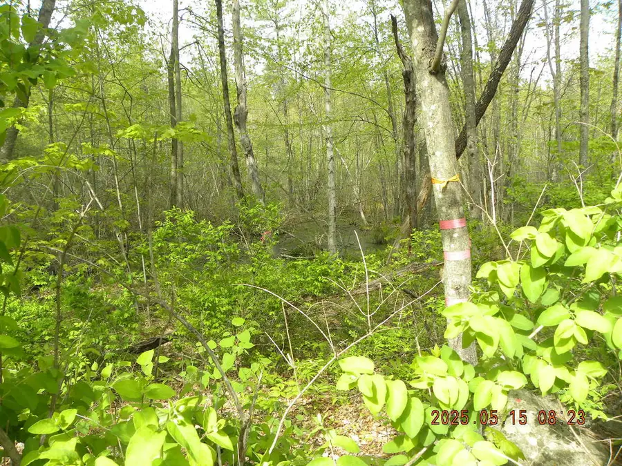 Lot 35 Bennett Road, Alfred, ME 04002 - Image #3