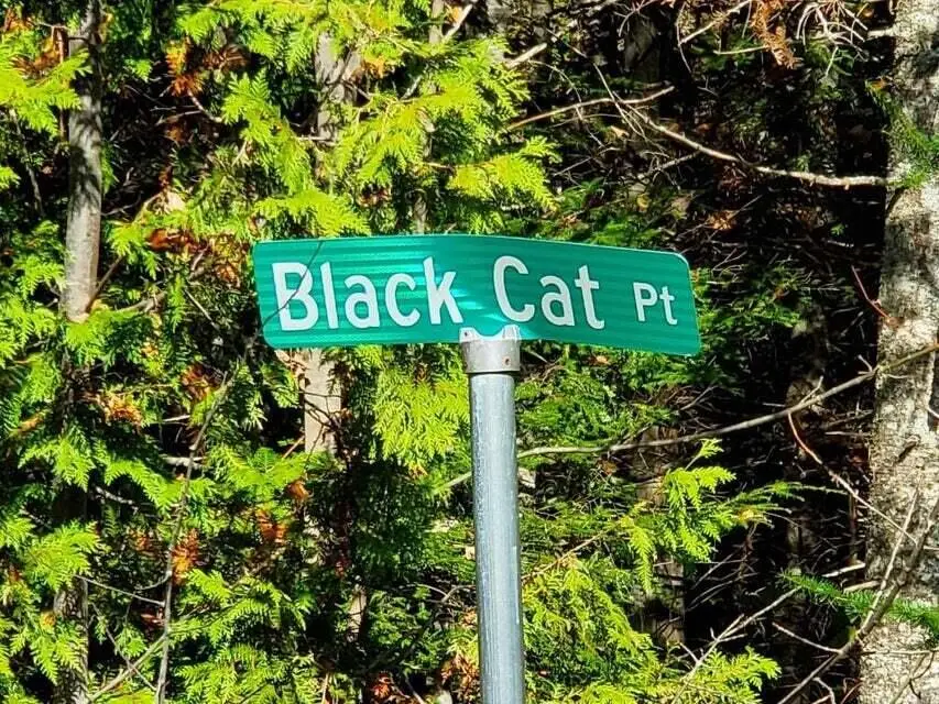 0 Blackcat Pt Drive, Princeton, ME 04668 - Image #2