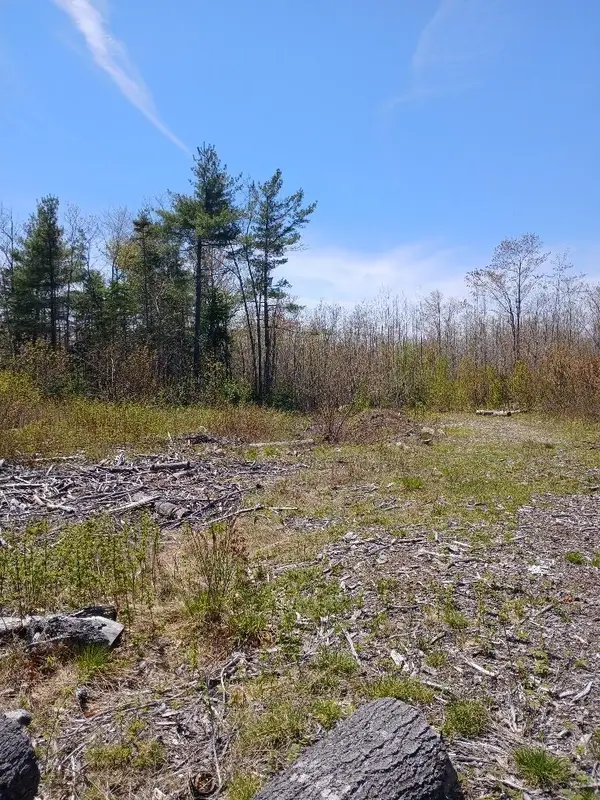 40 Eleanor Mae Road, Deblois, ME 04622