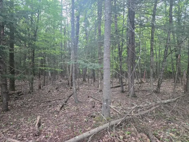 30 Marshall Valley Road, Windham, ME 04062 - Image #3