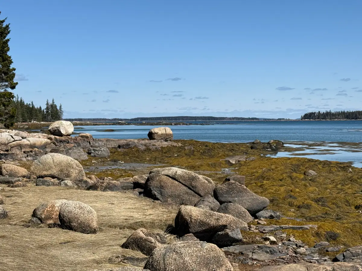 Part of Map 1, Lot 18, Jericho Bay Road, Swans Island, ME 04685 - Image #1