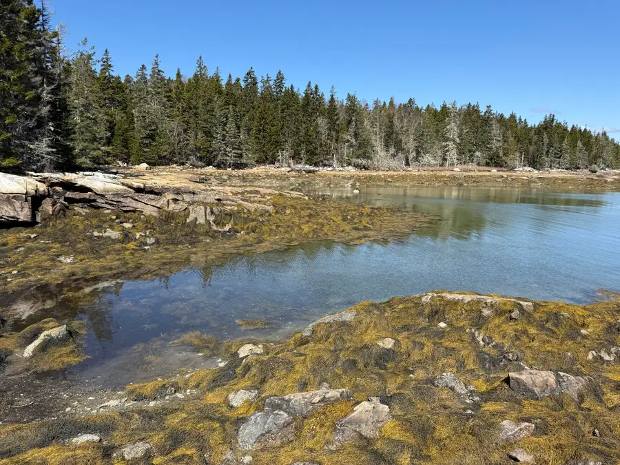 Part of Map 1, Lot 18, Jericho Bay Road, Swans Island, ME 04685 - Image #2