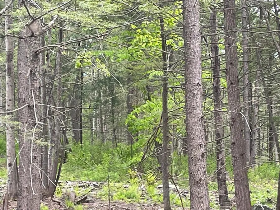 R8 L13,13A Zions Hill Road, Chesterville, ME 04938 - Image #3