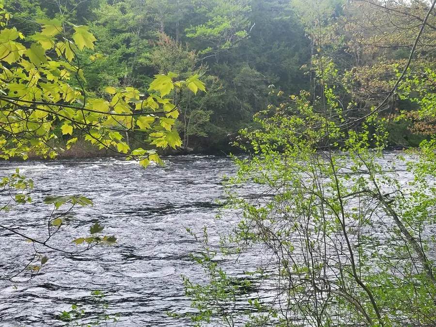 R3-32 Ossipee Trail, Porter, ME 04068 - Image #3