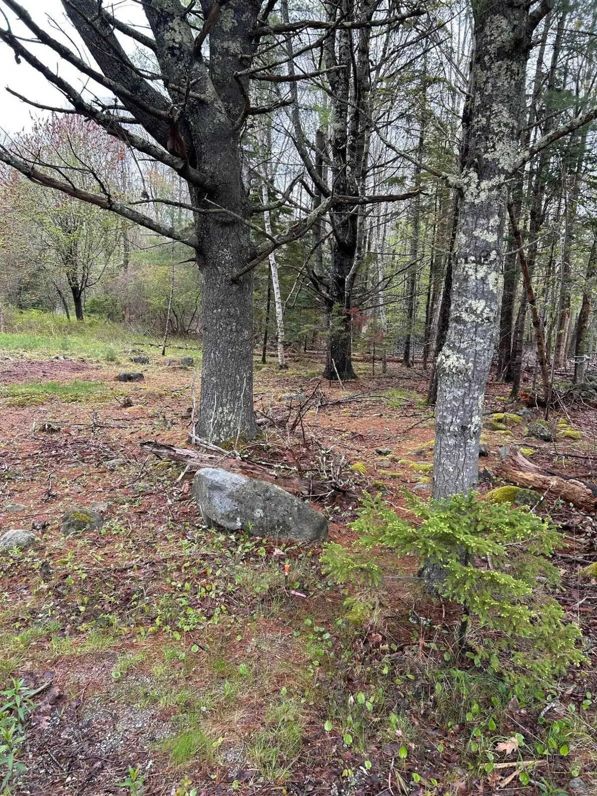 Part M9L83 Ripples Road, Mount Desert, ME 04660 - Image #1
