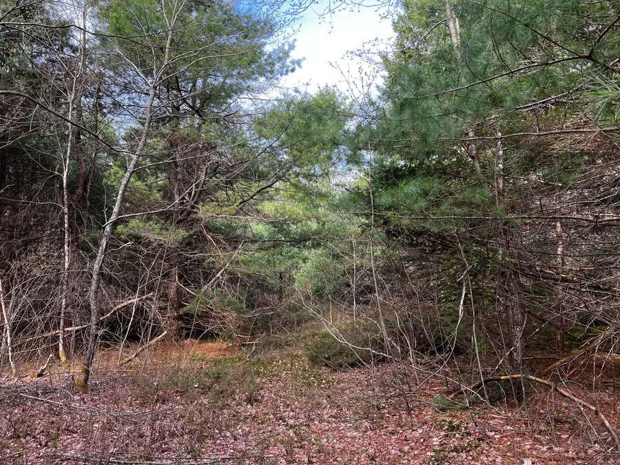 Lot 69 Campground Road, Searsport, ME 04974 - Image #2