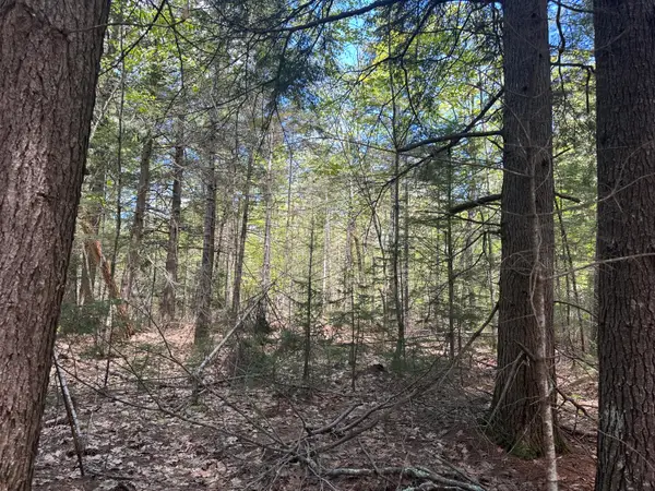Lot#10 Shamrock Lane, Damariscotta, ME 04543