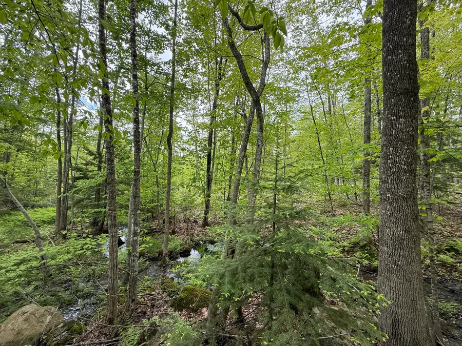 Lot 2 Naples Road, Harrison, ME 04040 - Image #3