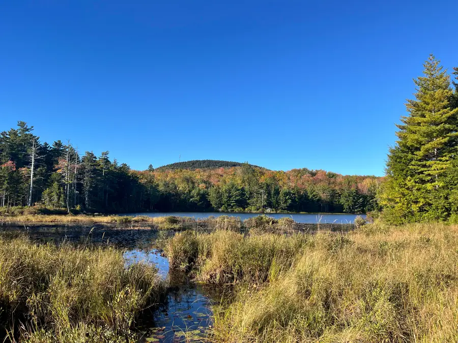 0 Pine Hill Lane, Blue Hill, ME 04614 - Image #2