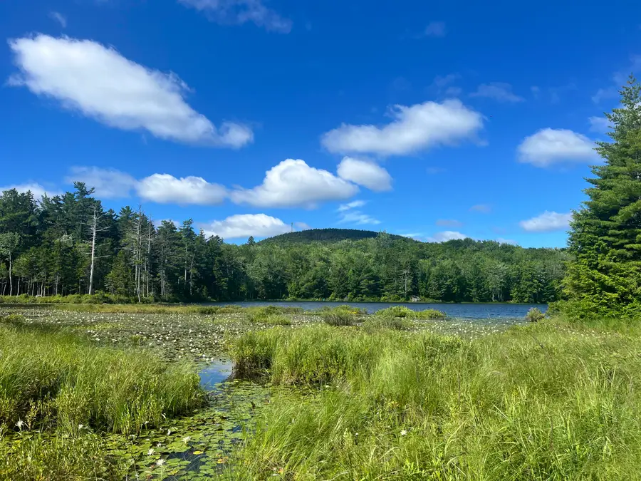 0 Pine Hill Lane, Blue Hill, ME 04614 - Image #3