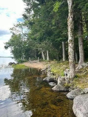 0 Buckman Island, Passamaquoddy Indian Township, ME 04668 - Image #3