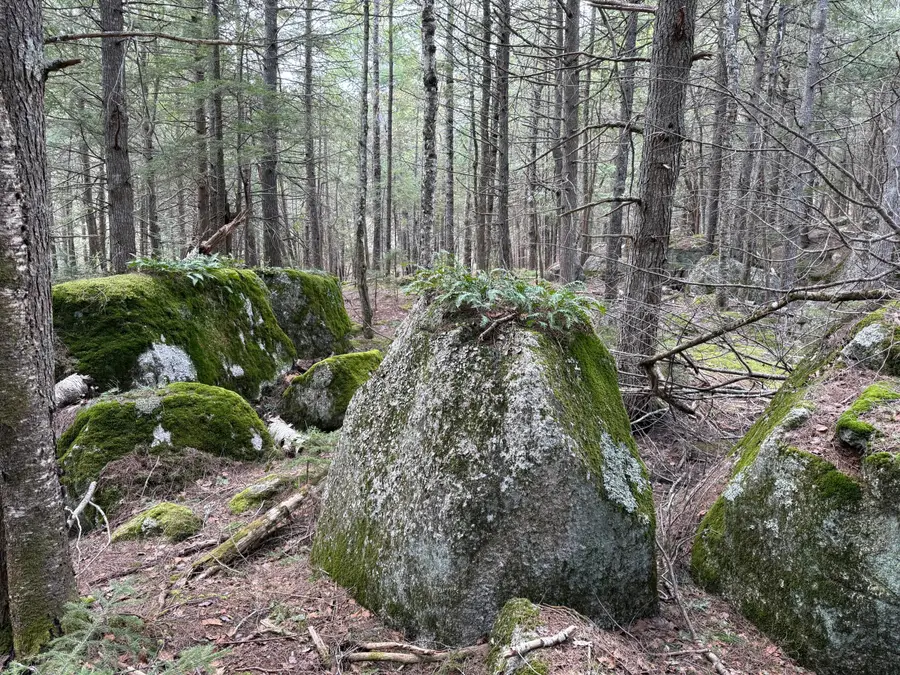0 map 7/2 Ebens Trail, Orland, ME 04472 - Image #2