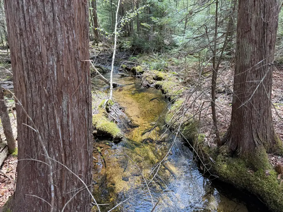 0 map 7/2 Ebens Trail, Orland, ME 04472 - Image #3