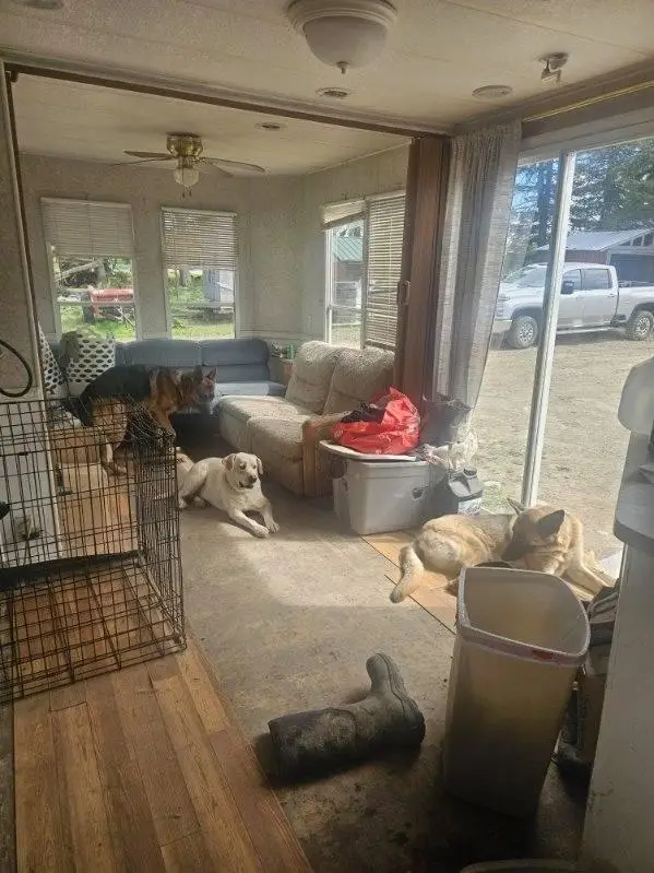 75 Doucette Road, Grand Isle, ME 04746 - Image #2