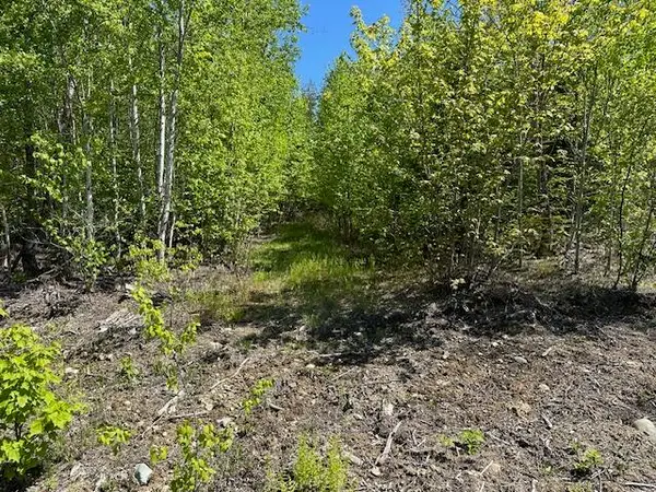 Lot 4 Mt. Jefferson Heights, Lee, ME 04455