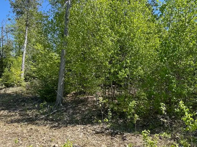 Lot 2 Mt. Jefferson Heights, Lee, ME 04455 - Image #3