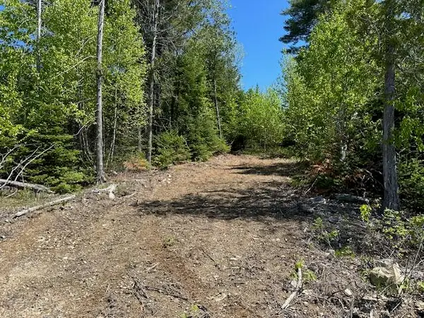 Lot 3 Mt. Jefferson Heights, Lee, ME 04455