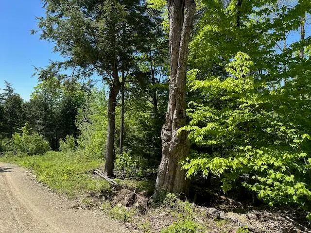 Lot 6 Mt. Jefferson Heights, Lee, ME 04455 - Image #2