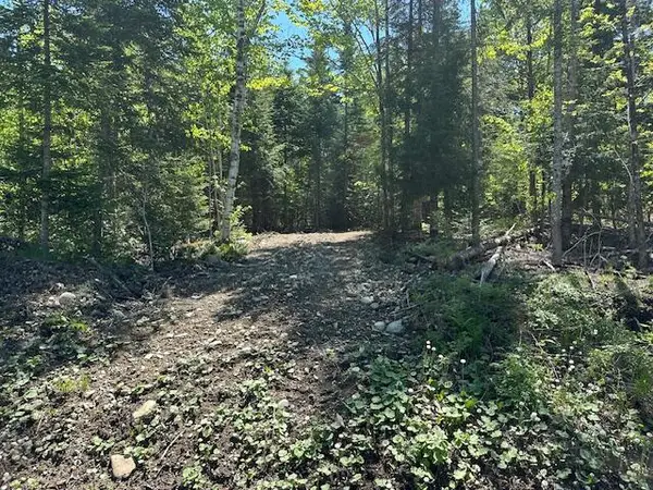Lot 9 Mt. Jefferson Heights, Lee, ME 04455