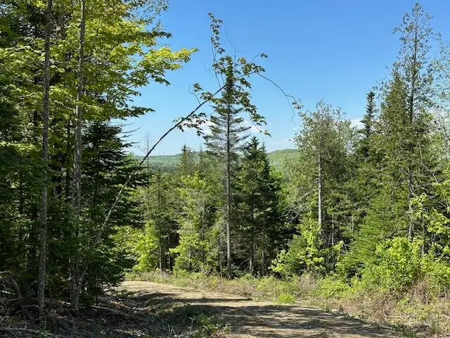 Lot 10 Mt. Jefferson Heights, Lee, ME 04455 - Image #1