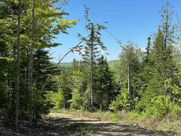 Lot 10 Mt. Jefferson Heights, Lee, ME 04455