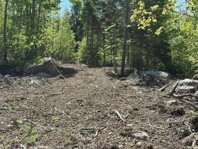 Lot 10 Mt. Jefferson Heights, Lee, ME 04455 - Image #2