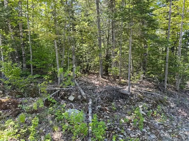 Lot 10 Mt. Jefferson Heights, Lee, ME 04455 - Image #3