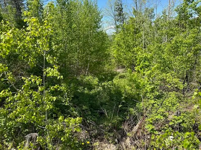 Lot 11 Mt. Jefferson Heights, Lee, ME 04455 - Image #2