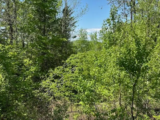 Lot 11 Mt. Jefferson Heights, Lee, ME 04455 - Image #3