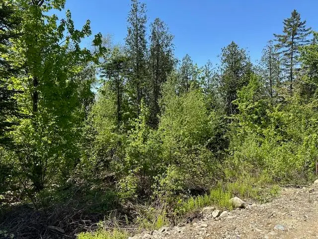 Lot 12 Mt. Jefferson Heights, Lee, ME 04455 - Image #1