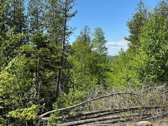 Lot 12 Mt. Jefferson Heights, Lee, ME 04455 - Image #3