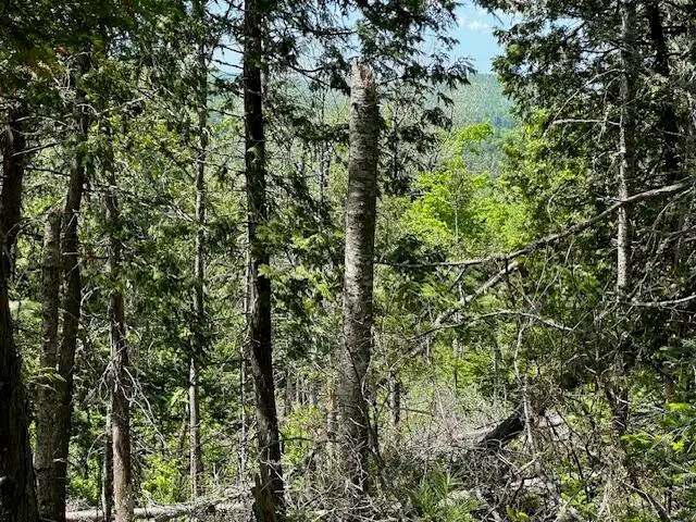 Lot 13 Mt. Jefferson Heights, Lee, ME 04455 - Image #2