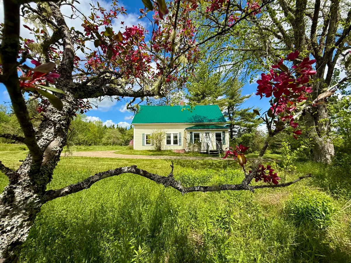 149 Old Eastport Road, Perry, ME 04667 - Image #1