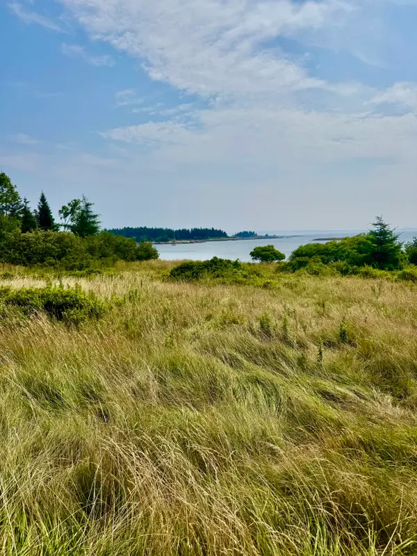 Lot #5 George Wright Road, Vinalhaven, ME 04863